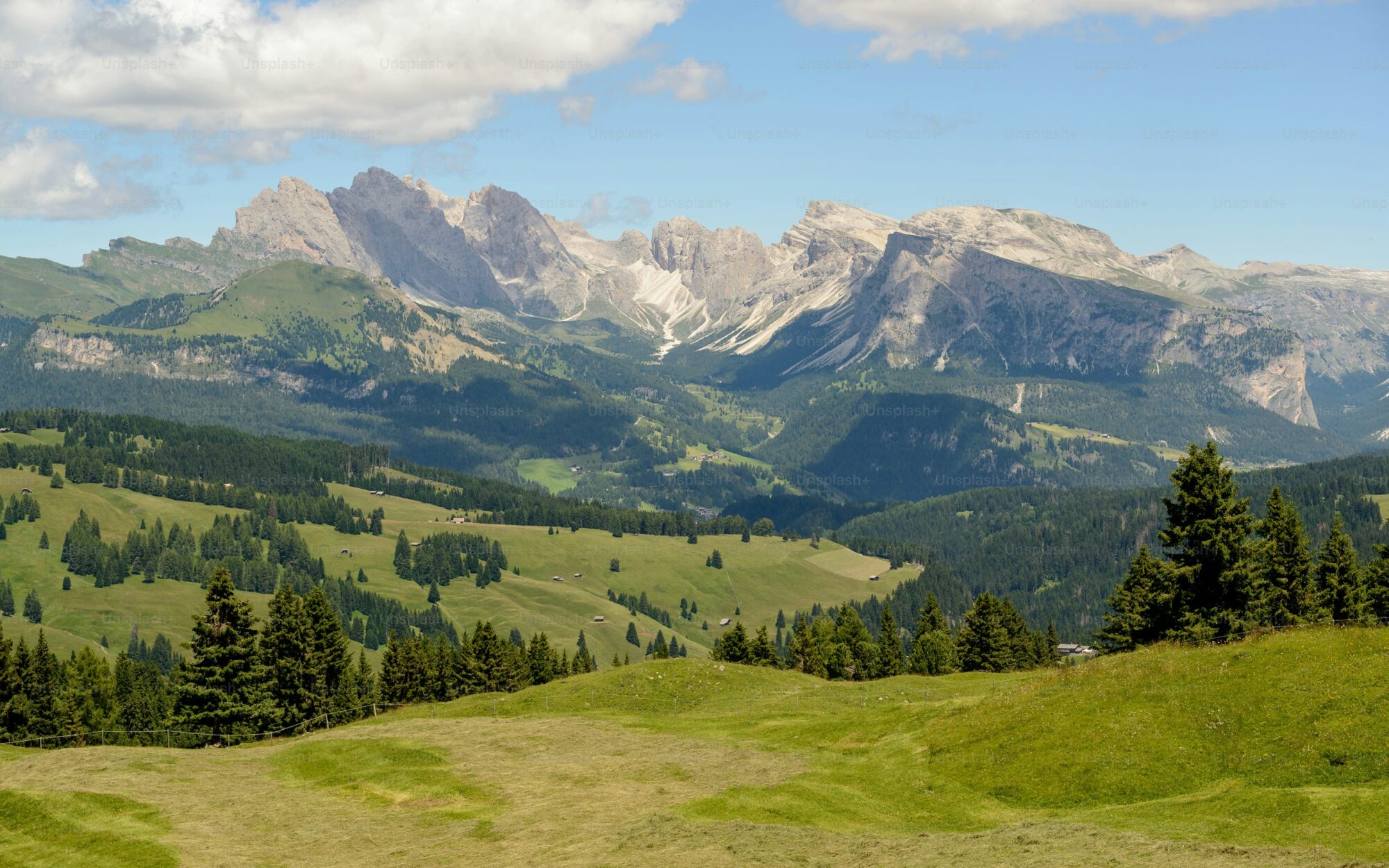 Mountain range with lush valley and scattered trees under a blue sky