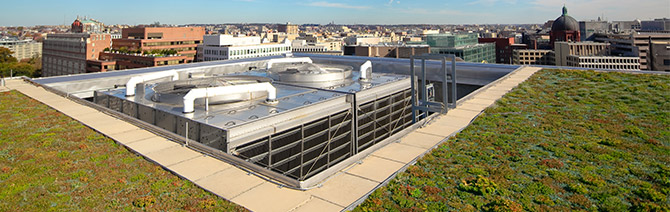 green-roof green-roof