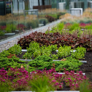 Sustainable-Lifestyle-Blog