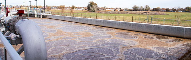 wwtp-blog-radabaugh-1