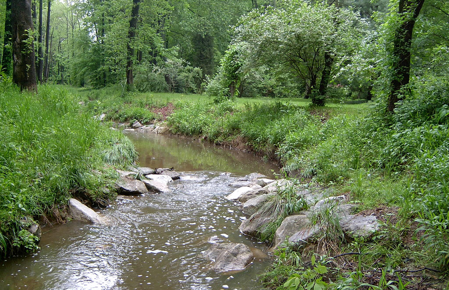 The Accotink Creek Stream Restoration in Fairfax County, Virginia is an example of a project that can serve as a nutrient credit bank.
