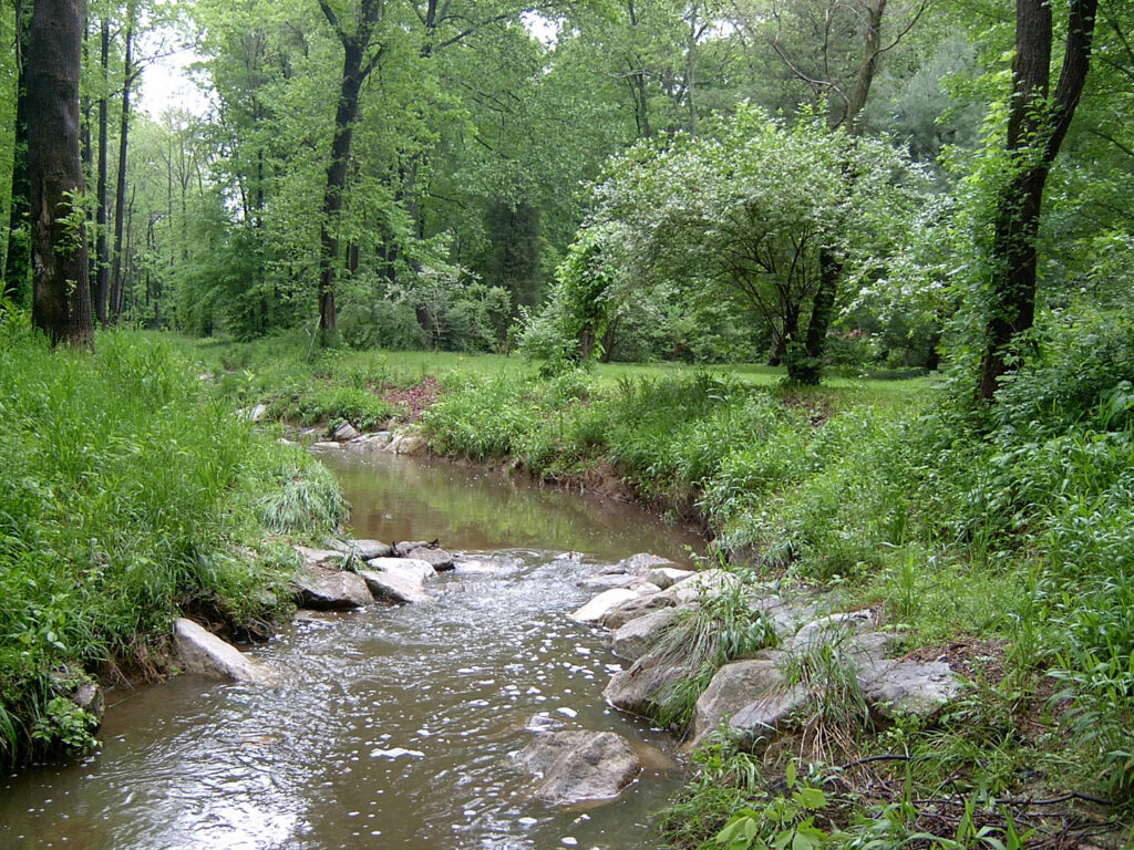The Accotink Creek Stream Restoration in Fairfax County, Virginia is an example of a project that can serve as a nutrient credit bank. 
