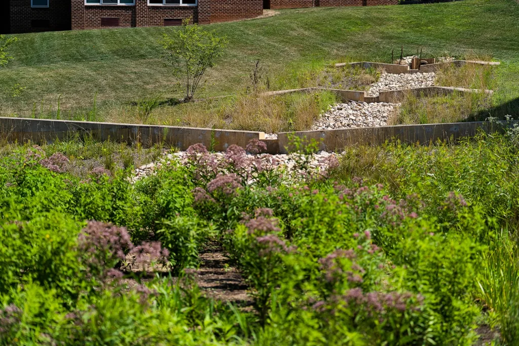 We designed a bioretention median for the University of Virginia to meet the stormwater needs of Brandon Avenue District.