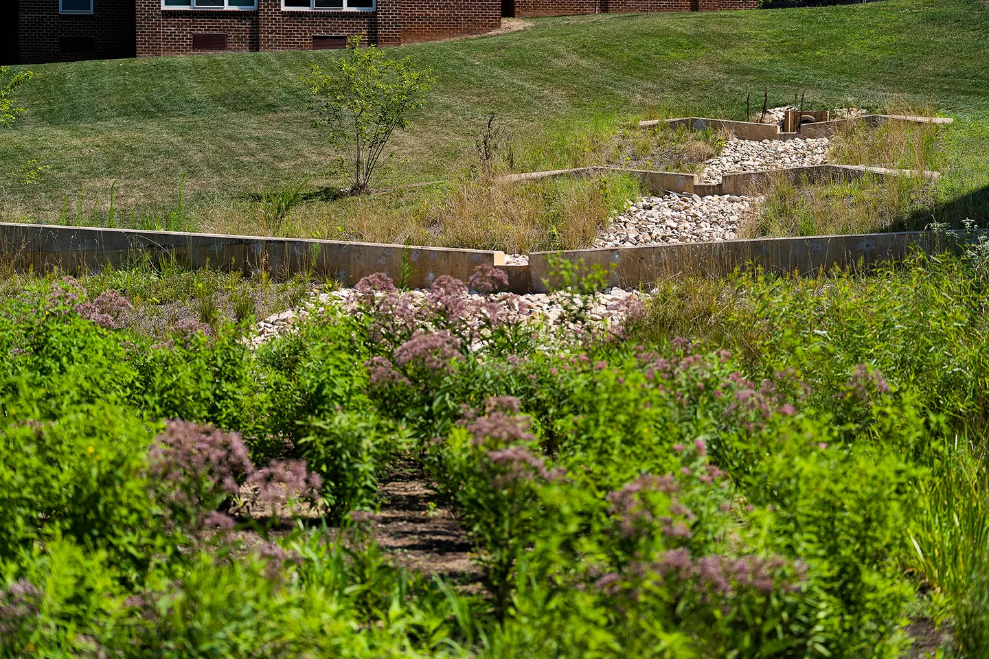 We designed a bioretention median for the University of Virginia to meet the stormwater needs of Brandon Avenue District.