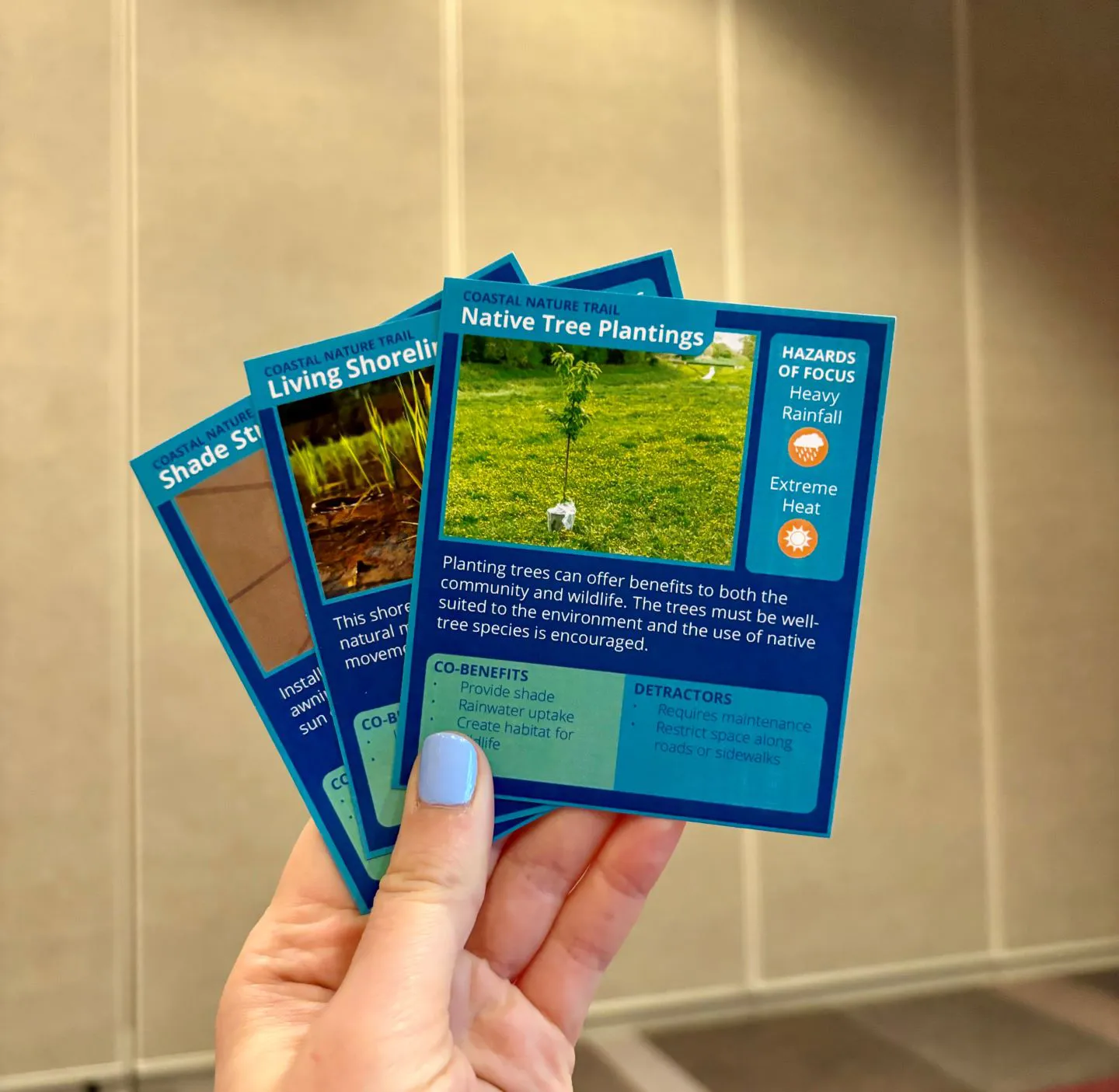 Resilience elements cards described different techniques that could be used to make a project more resilient, such as shade structures to mitigate heat and bioretention cells to absorb stormwater.