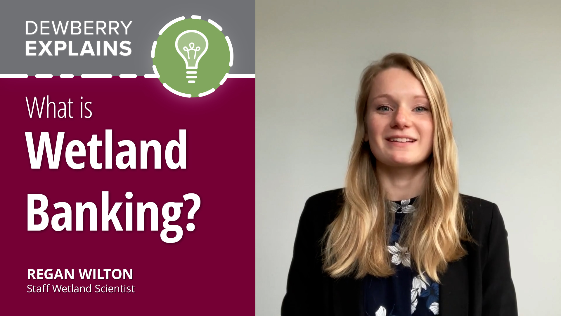 What is Wetland Banking?
