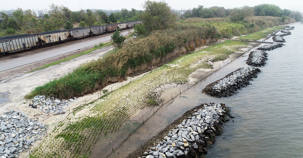 Elizabeth River Shoreline thumbnail