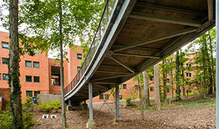 University of Virginia