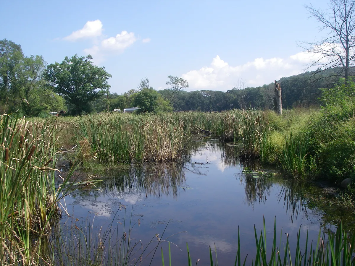 Water Spring Thumbnail