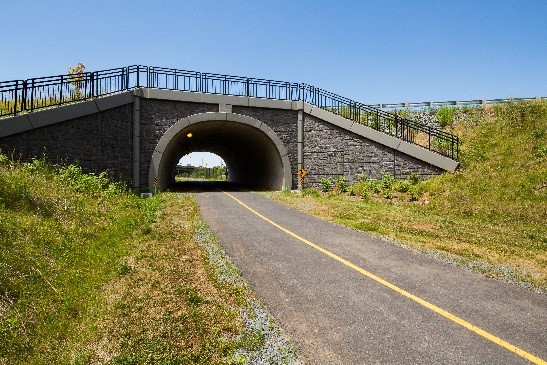 The retaining walls and arch structure were treated with a dry-stack stone pattern to match the adjacent stone arch structure under Dry Mill Road.
