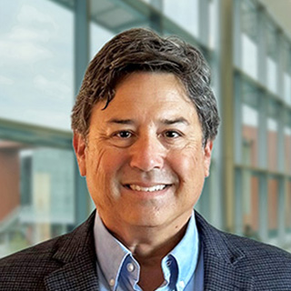 David Stein