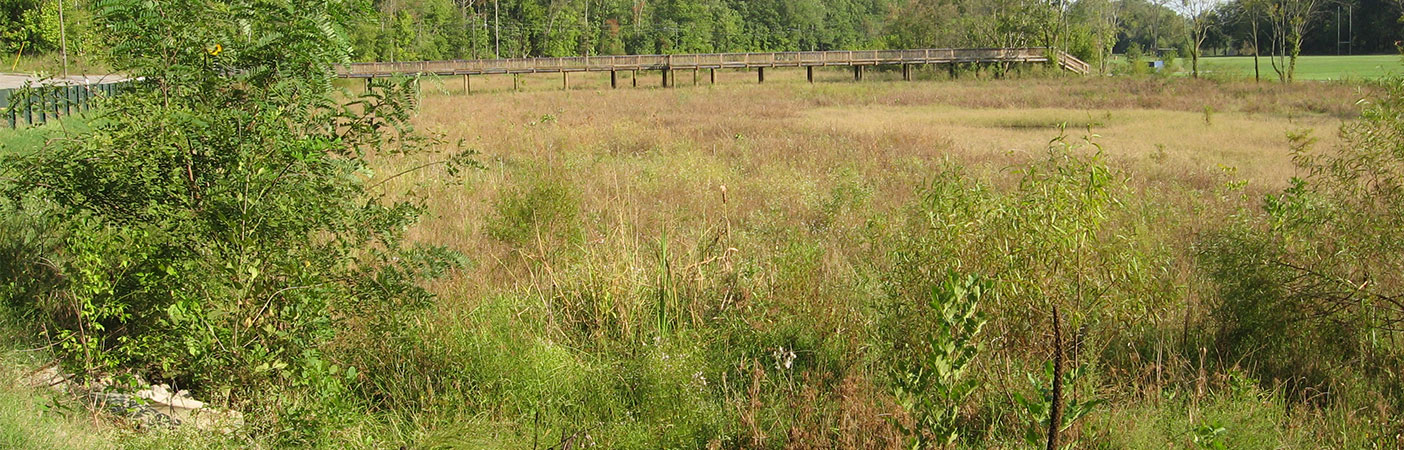 After construction was complete, we continued wetland monitoring services, which included scheduled monitoring of the success of the wetland design and implementation photographic documentation.