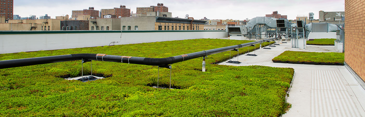 Our work included air quality consulting at the Mother Clara Hale Bus Depot in Manhattan. We were responsible for the effectiveness of the depot’s green roof in capturing particulate emissions from bus depot operations and other ambient sources.