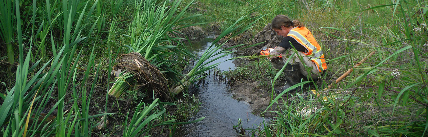 This project addressed a combination of flood prone areas from both the 1995 and 1998 Annexation Area Stormwater Master Plans.