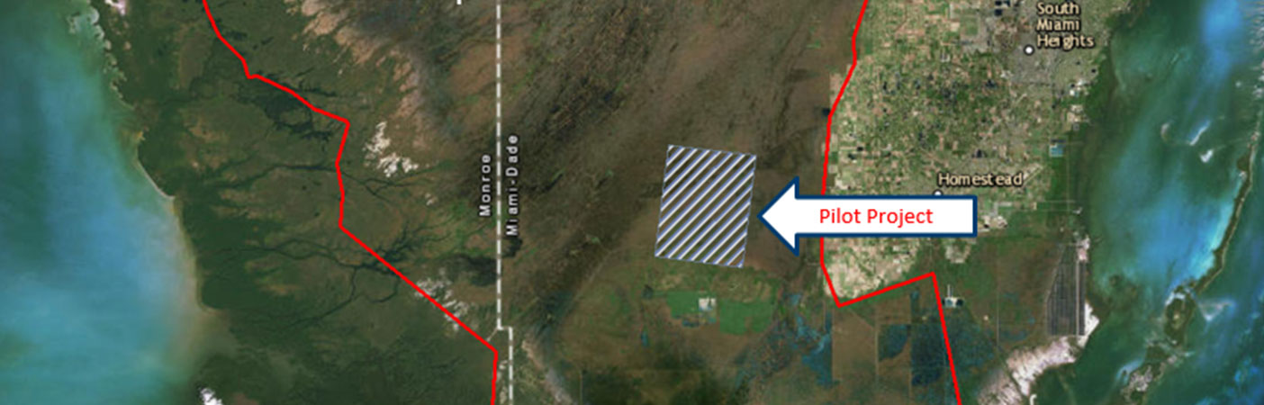 We’re covering 1,211 square miles within the Everglades National Park to produce elevation data for the unique environment.
