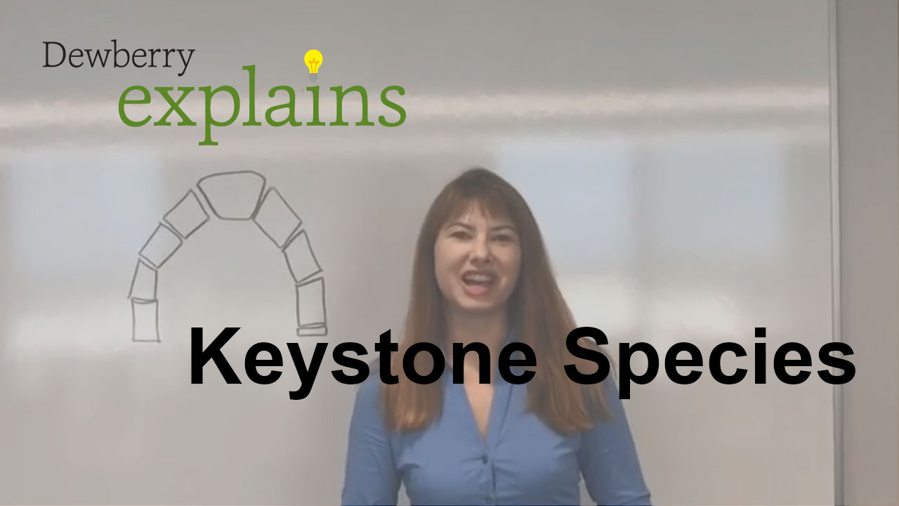 Nicole-Gough-Keystone-Species