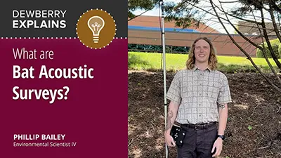 What are Bat Acoustic Surveys?