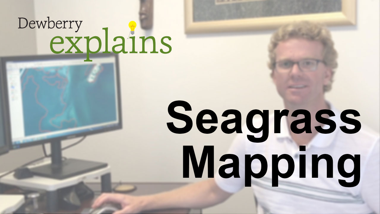 seagrass-mapping-thumbnail