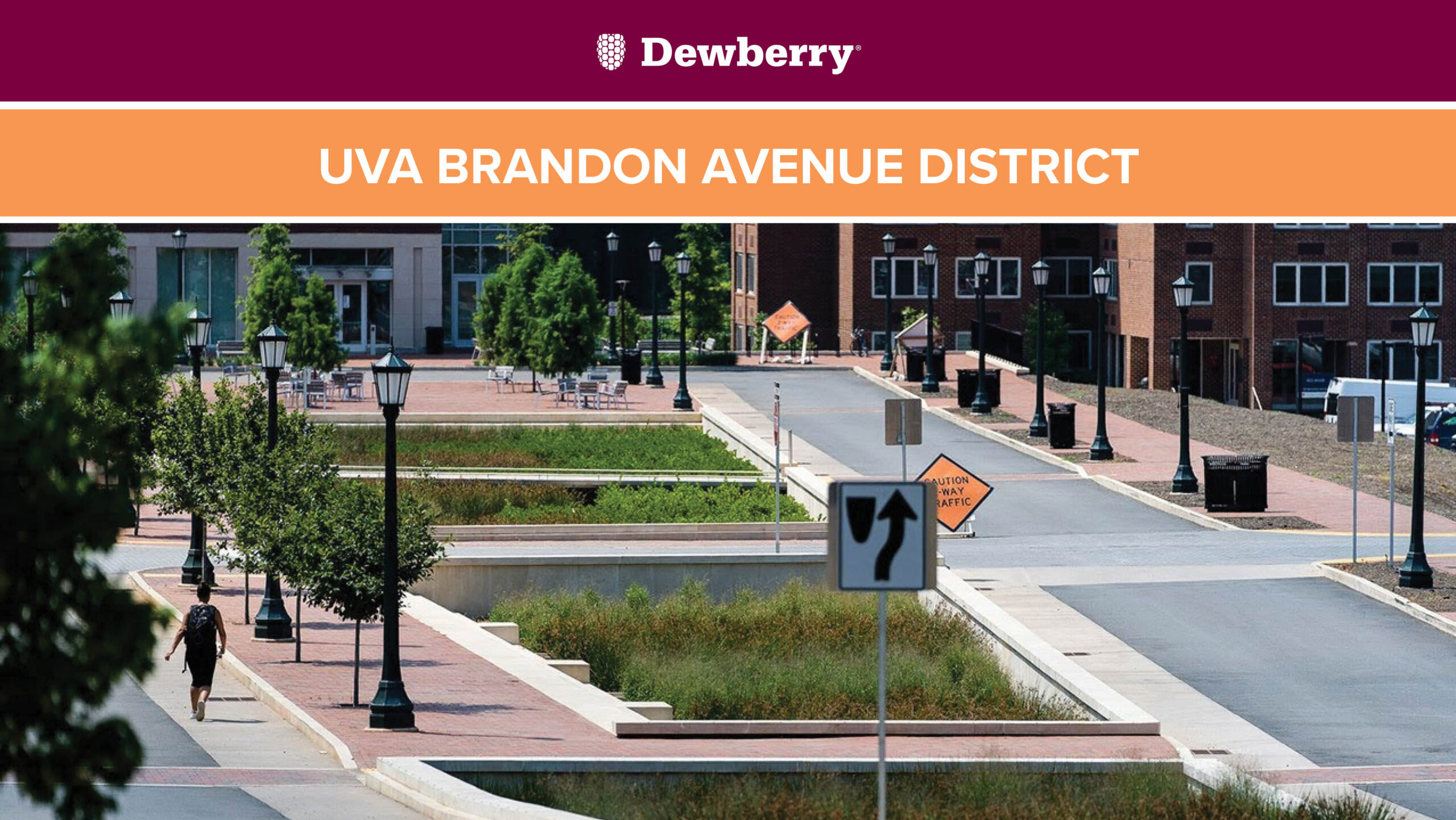 UVA Brandon Avenue District