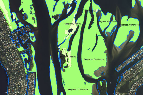 GIS Data Showing Mapped Seagrass Habitats. St. Lucie Inlet Area, Florida