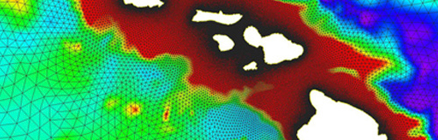 Our hazard analysis considered the combination of storm surge and hurricane-induced wave hazards.