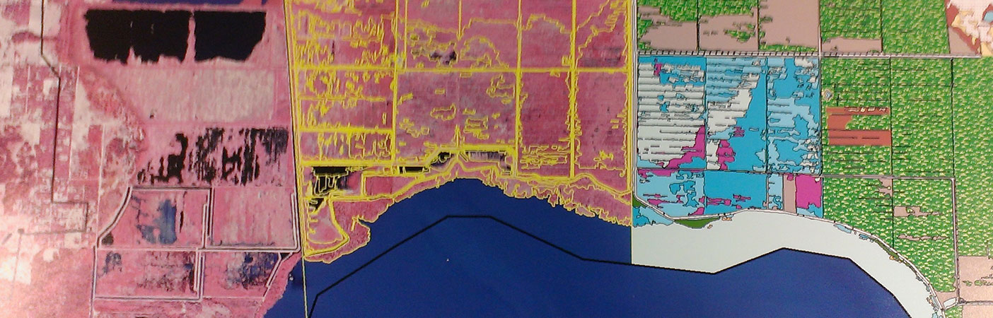 Color infrared imagery is used to map vegetation within the Lake Apopka restoration area. New imagery is acquired at regular intervals in order to map, document, and analyze changes.