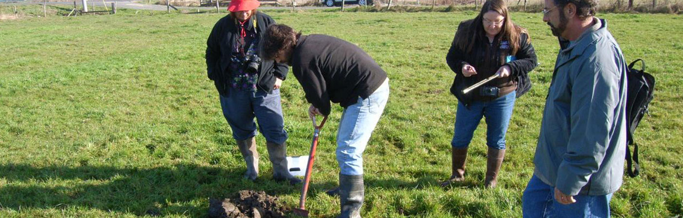 While in the field, we identified plant species, hydric soils, and hydrologic indicators to determine wetland boundaries and correct NWI classification.