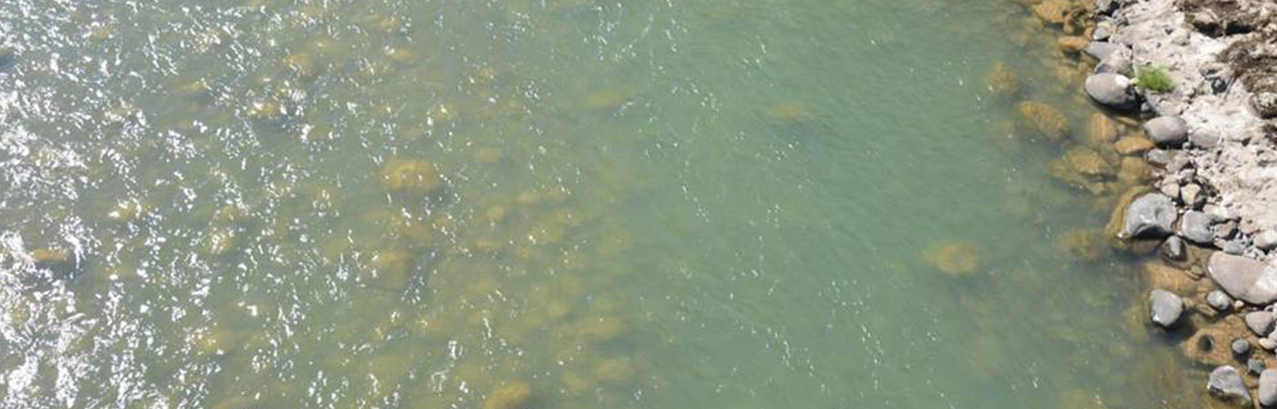 Topo-bathymetric data can be applied to the study of coastal and aquatic ecosystems, as well as coral reef mapping , storm surge modeling, and storm damage assessment.